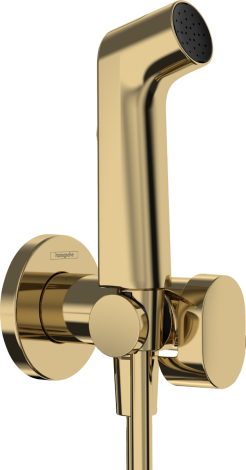 HANSGROHE słuchawka prysznicowa Bidette 1jet S EcoSmart z mieszaczem, uchwytem i wężem prysznicowym 125 cm złoty optyczny polerowany 29232990 292327990 od 